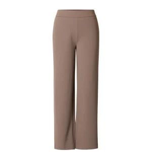 Broek Base Level Curvy D.taupe Arah 7000092